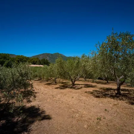 Maison Christian By Interhome セルヴィオーヌ